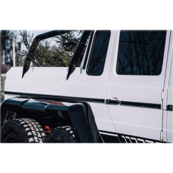 Rear side moldings set