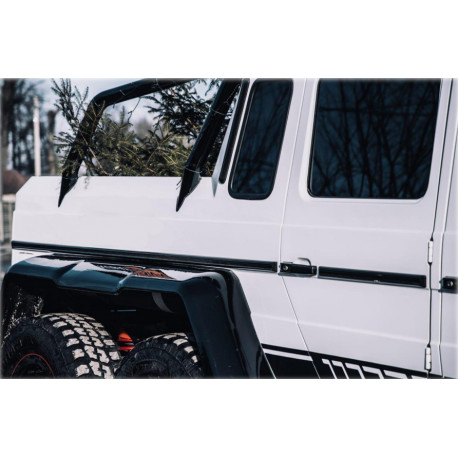 Rear side moldings set