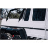 Rear side moldings set